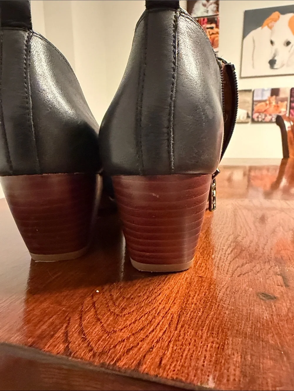 Franco Sarto Ankle Booties size 10